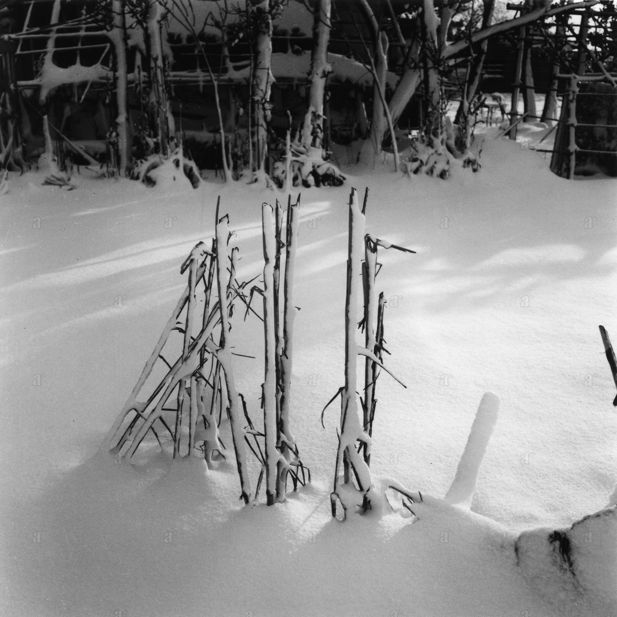 杵島 隆 &ldquo;暖かい雪1948&rdquo; Takashi Kijima &ldquo;Warm snow 1948&rdquo;
